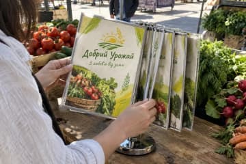 Перекидна система з блакитними рамками на стіні біля ліфта в офісі